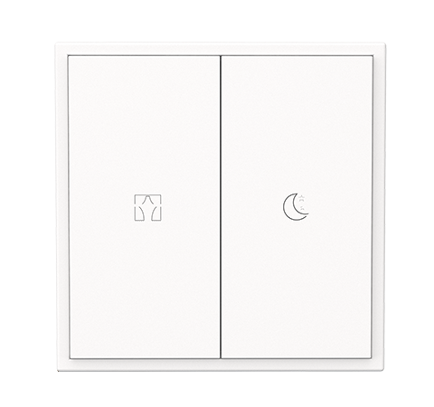 Ivory White